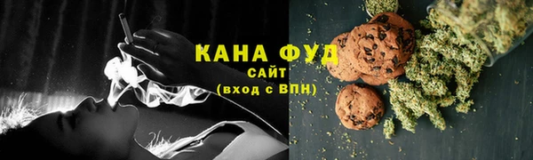 гидра Гусев