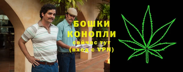 дурь Горно-Алтайск