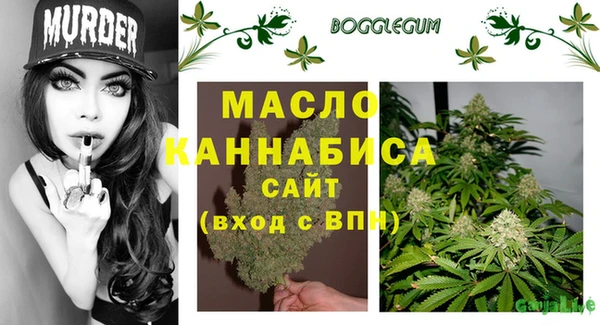гидра Гусев