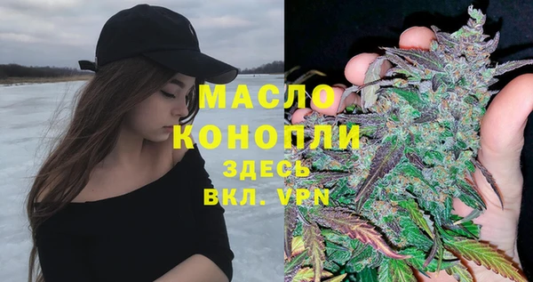 крисы Сатка