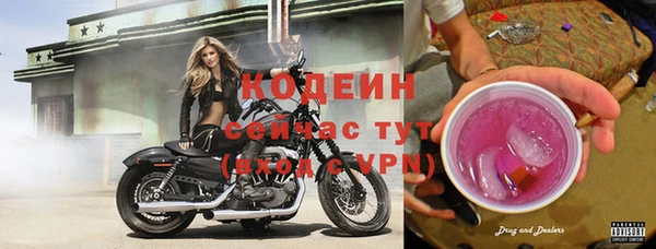скорость Сафоново