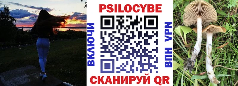 hydra ссылки  Данилов  Псилоцибиновые грибы Cubensis 